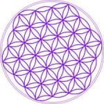 flower of life